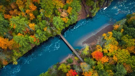 Aerial view of a vibrant fall landscape with a river flowing beneath a narrow bridge, showcasing lush autumn foliage in vivid colors. 4K Ultra HD desktop wallpaper.