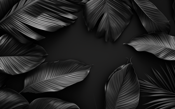 HD desktop wallpaper featuring a dark aesthetic with elegant black leaves on a dark background for a stylish and minimalist backdrop.