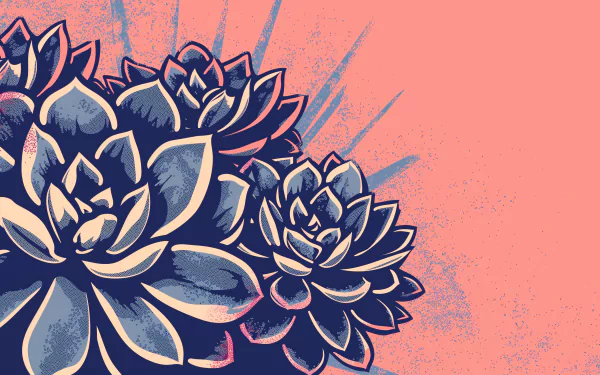 HD desktop wallpaper featuring stylized succulent plants with a vibrant coral pink background.