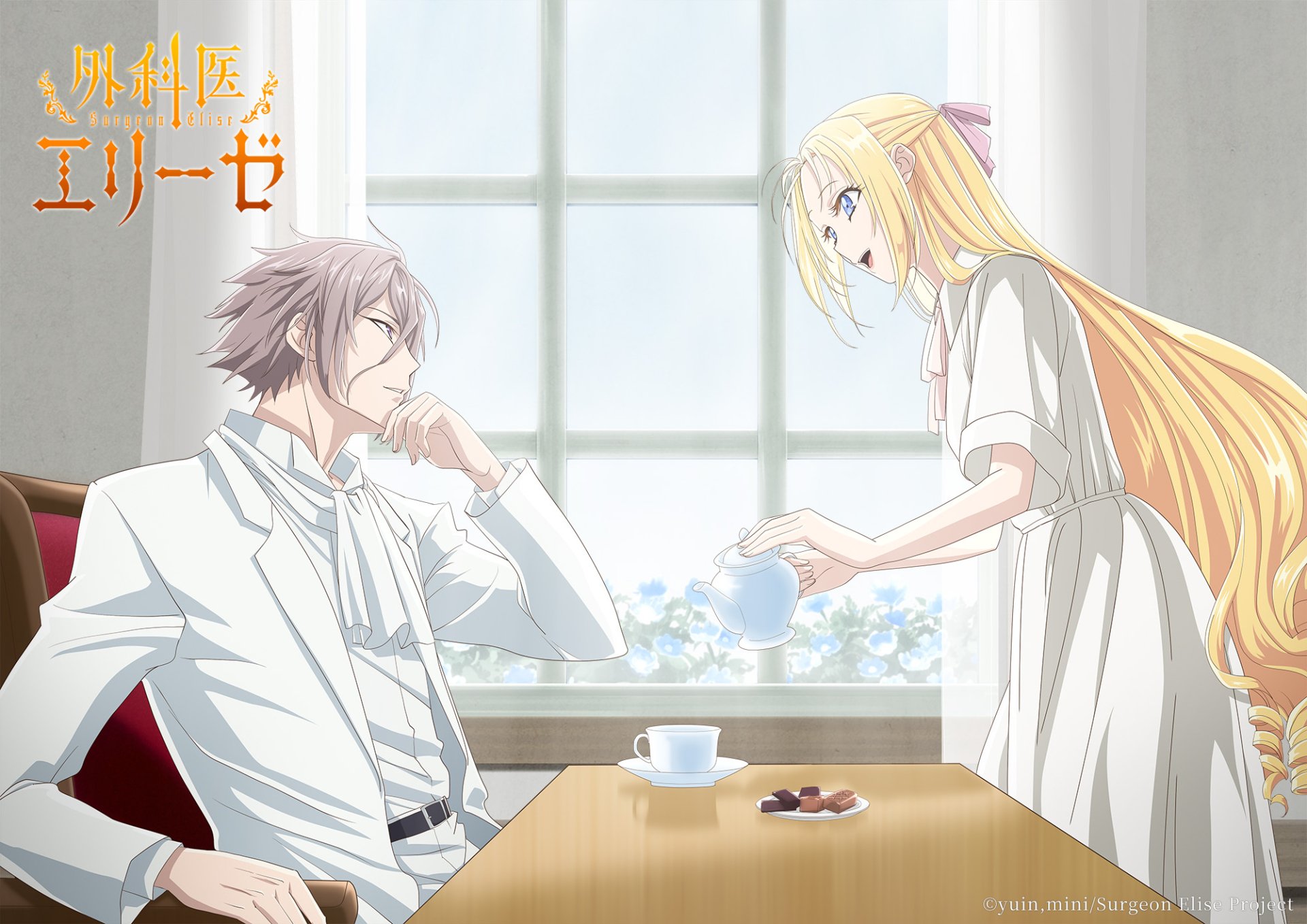 Doctor Elise The Royal Lady With The Lamp alphacoders.com