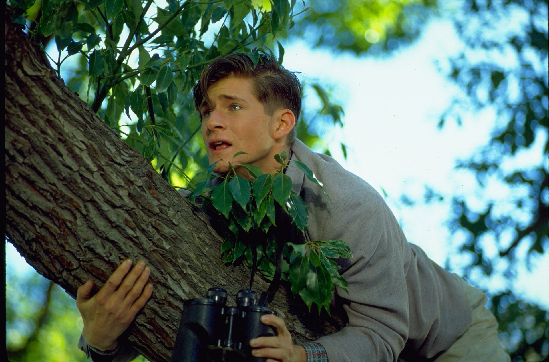 HD wallpaper of a scene from Back To The Future with a character hiding in a tree, clutching binoculars.