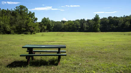 HD desktop wallpaper of a picnic table in a serene grassy field with trees in the background under a clear blue sky.