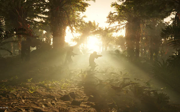 HD wallpaper of Helldivers 2 video game featuring a soldier navigating through a sunlit dense forest.