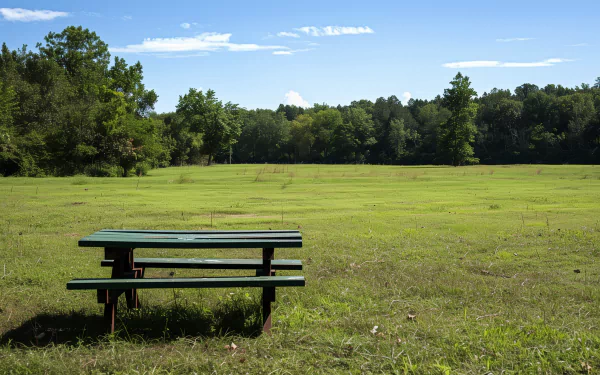 HD desktop wallpaper of a picnic table in a serene grassy field with trees in the background under a clear blue sky.