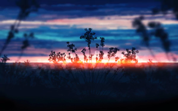 landscape sunset cloud digital HD Desktop Wallpaper | Background Image