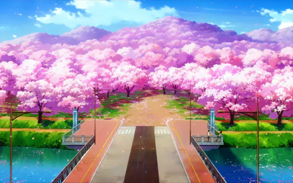 4K Ultra HD anime desktop wallpaper from I Want To Eat Your Pancreas by Haruki Shiga, featuring a vibrant cherry blossom tree-lined path under a bright blue sky.
