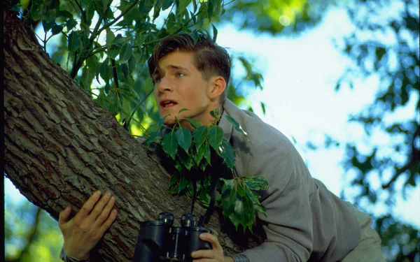 HD wallpaper of a scene from Back To The Future with a character hiding in a tree, clutching binoculars.