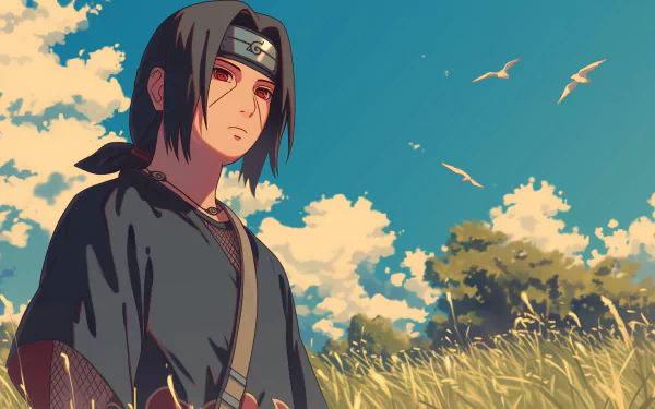 HD anime wallpaper featuring Itachi Uchiha from Naruto, standing in a field with a blue sky and flying birds in the background.