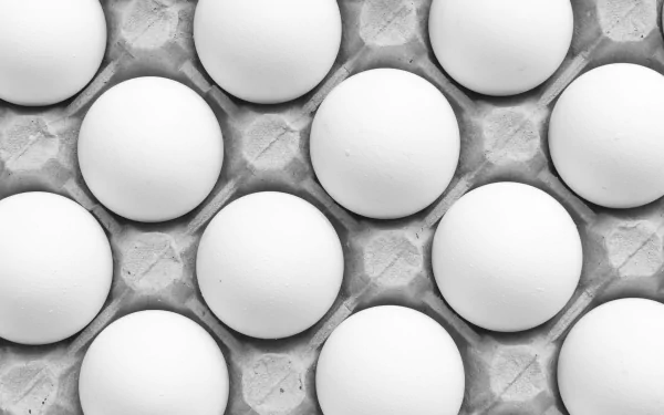  Eggs in a Carton by Renatok