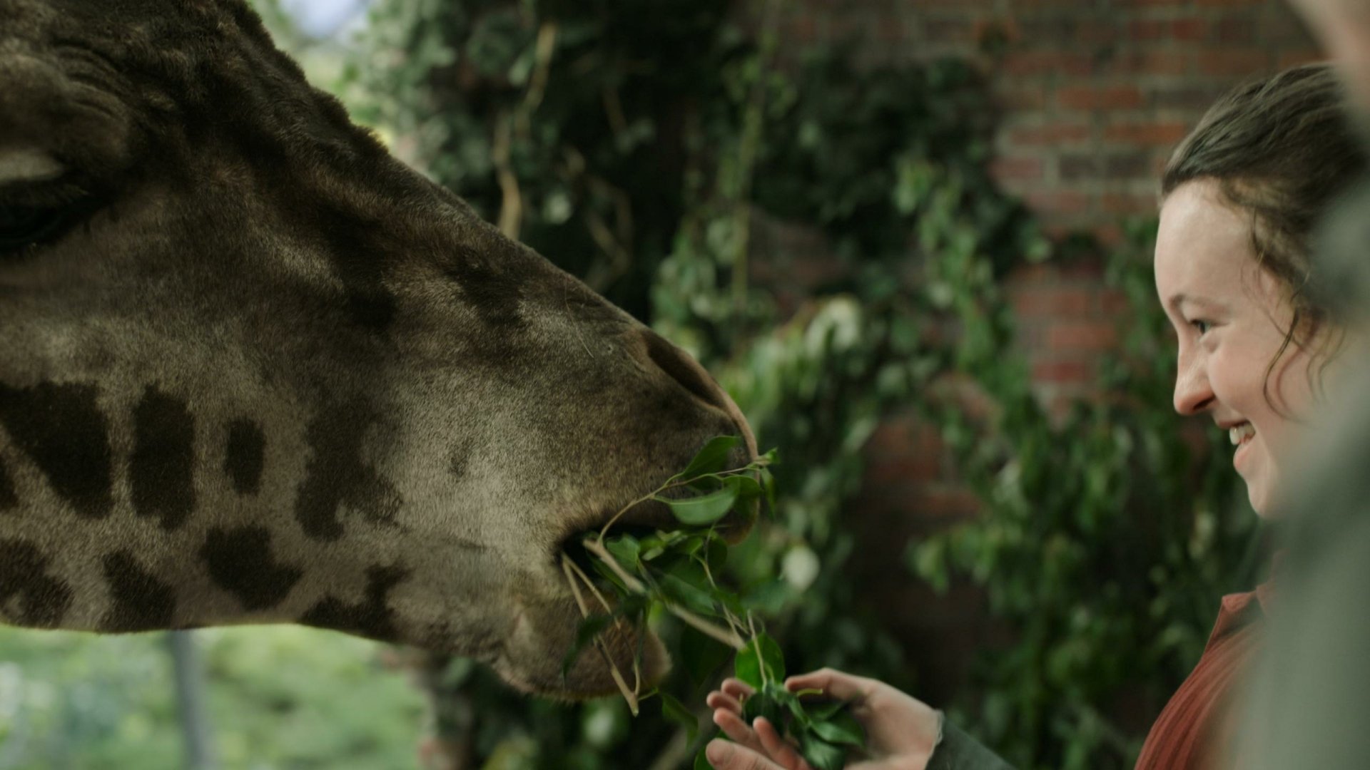 Download Bella Ramsey HD Wallpaper