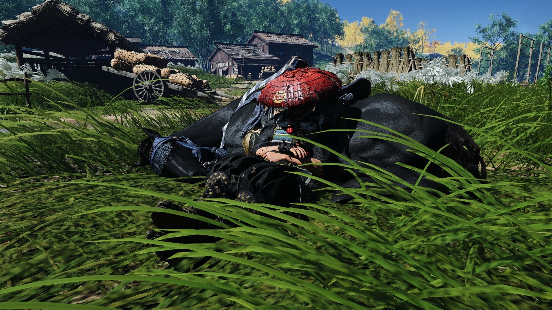 Download HD Wallpaper by Tom1noocz