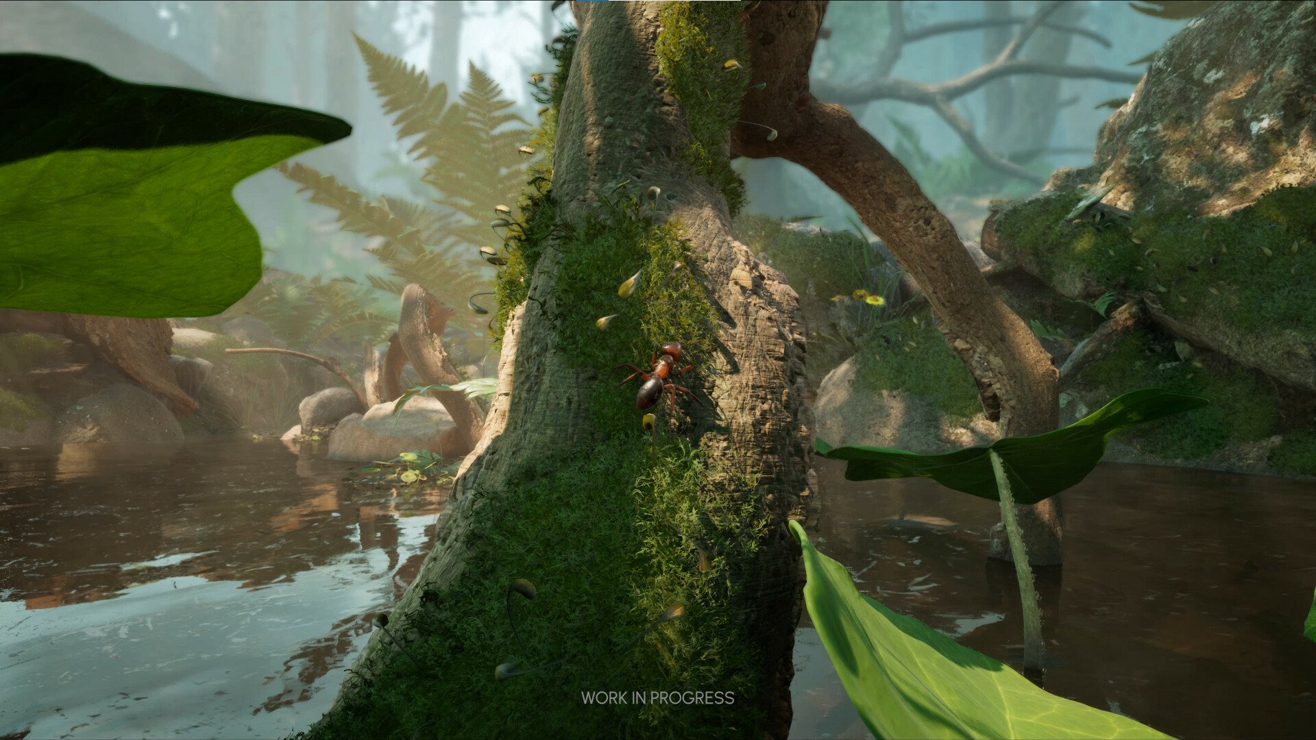 HD desktop wallpaper and background featuring the video game Empire of the Ants, depicting a detailed and lush forest environment with giant leaves and tree branches.