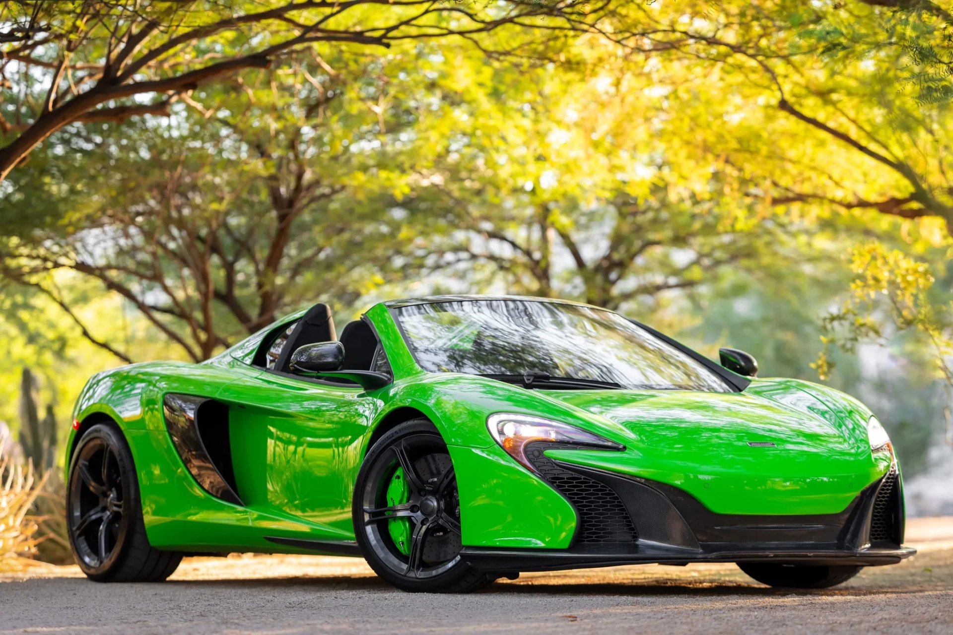 Download McLaren 650S Spider McLaren HD Wallpaper