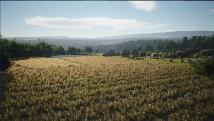 HD desktop wallpaper of a lush, golden wheat field from the video game Manor Lords, showcasing expansive rural scenery under a clear sky.