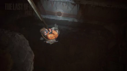  Seattle, Seraphite Base 5 (Abby)