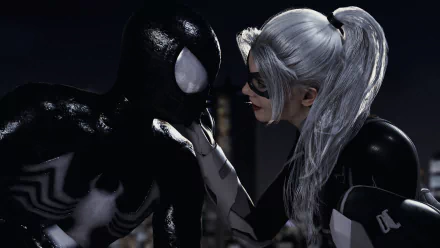  Spider Man and Black Cat
