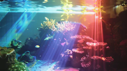 HD desktop wallpaper showing a vibrant underwater reef with rainbow-colored coral, bathed in colorful light rays.