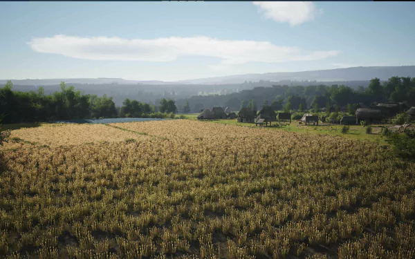 HD desktop wallpaper of a lush, golden wheat field from the video game Manor Lords, showcasing expansive rural scenery under a clear sky.