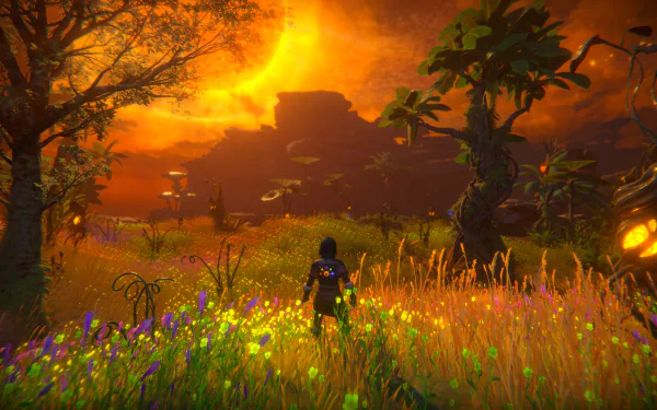 HD desktop wallpaper from the video game Seed of Life, depicting a character standing in a vibrant field with a glowing sunset background.