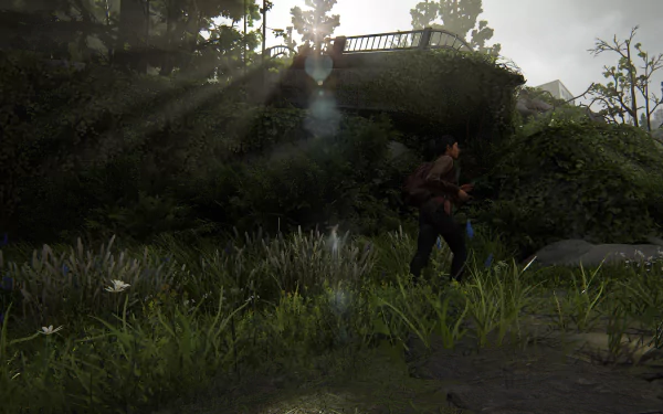  Running Seattle 4 (dina landscape)