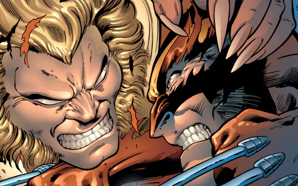  Wolverine vs Sabretooth
