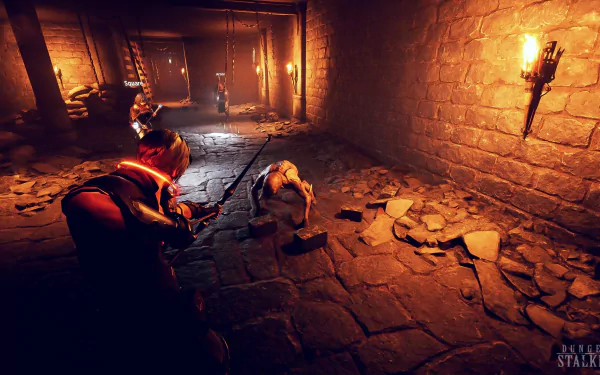 A high-definition wallpaper featuring a scene from the video game Dungeon Stalkers, showing characters in a dimly lit dungeon environment with torches illuminating the stone walls.