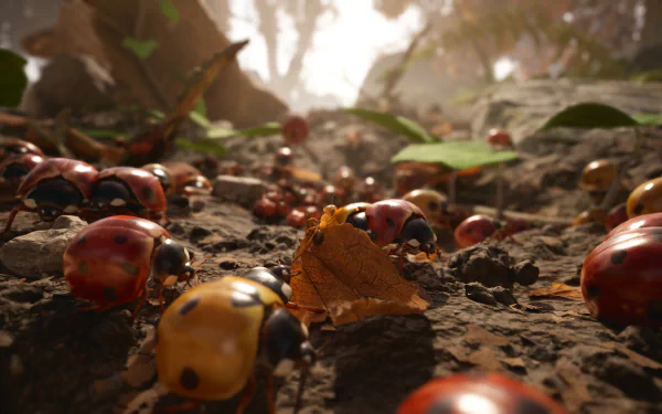 HD desktop wallpaper from the video game Empire of the Ants, featuring a detailed close-up view of numerous ladybugs on forest floor terrain, with light filtering through the trees in the background.