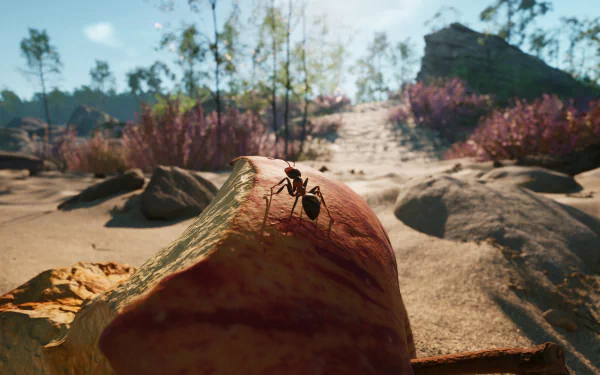 HD desktop wallpaper from the video game Empire of the Ants featuring a detailed ant on a textured piece of fruit in a sunlit, natural environment with lush vegetation in the background.