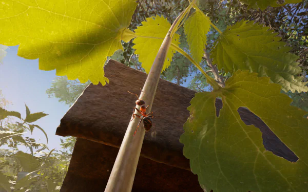HD desktop wallpaper of the video game Empire of the Ants showing an ant climbing a plant stem amidst vibrant green leaves.