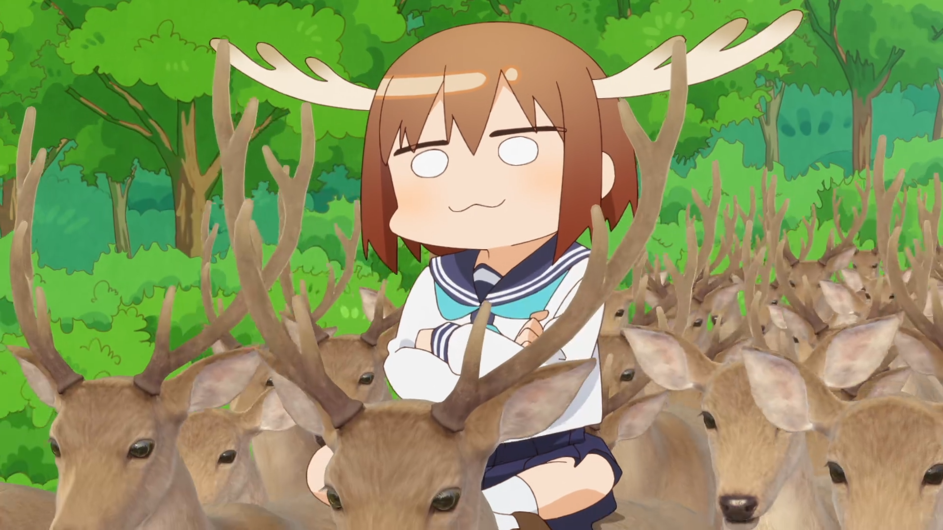 Download Anime My Deer Friend Nokotan Noko Shikanoko HD Wallpaper