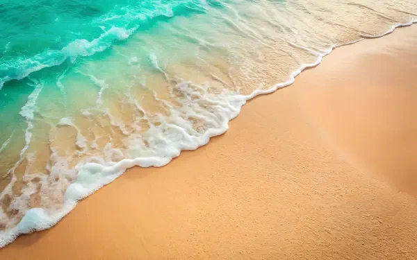  Sandy beige left, seafoam green right, divided by a gentle wave, sea