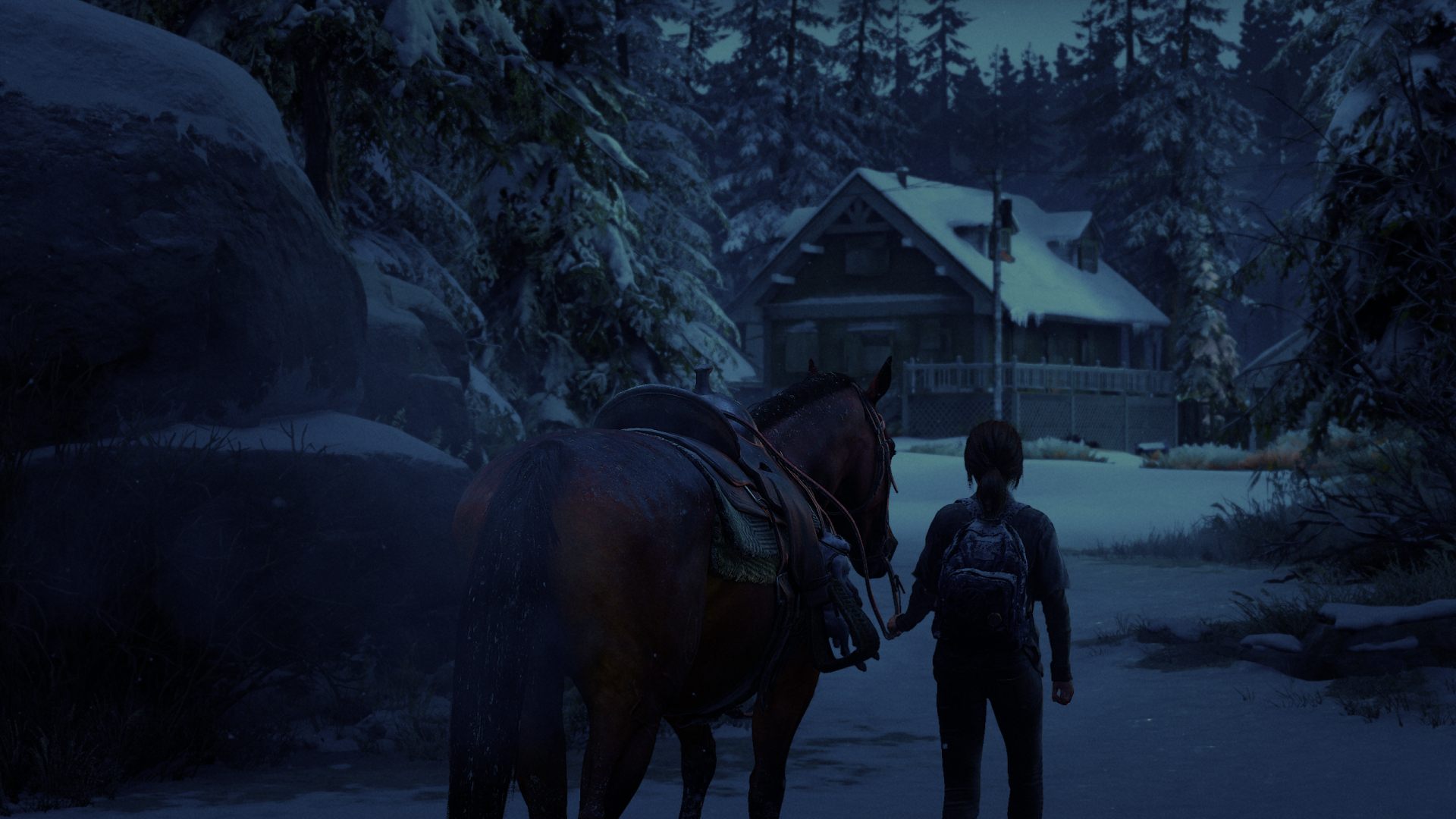 Ellie Williams by sevennom