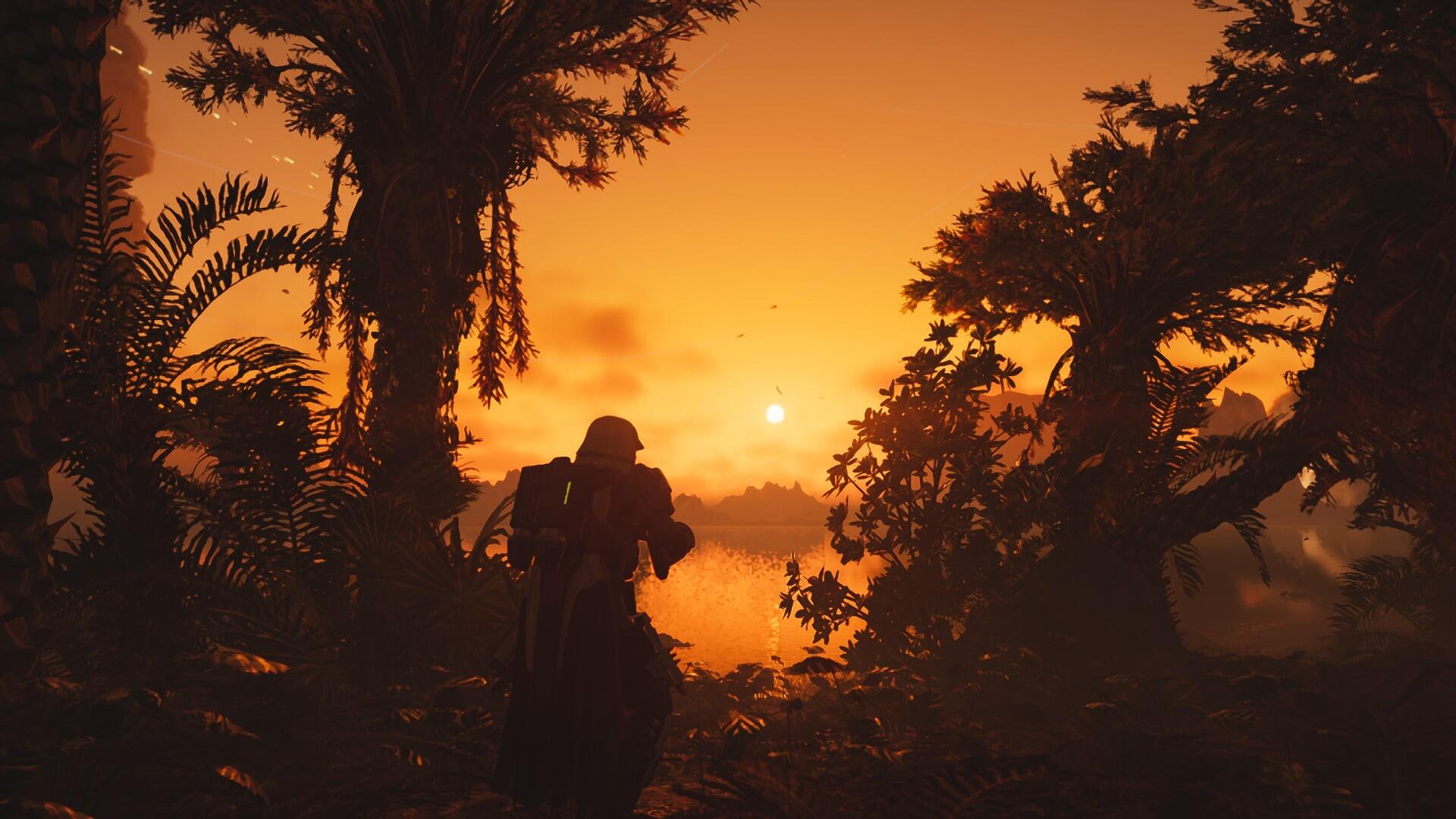 A stunning HD wallpaper from Helldivers 2, featuring a silhouetted character against a vibrant sunset, framed by lush foliage and a serene landscape.