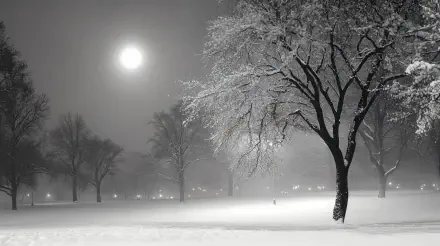 A serene winter night scene featuring a snow-covered landscape and silhouetted trees under a glowing moon, captured in stunning 4K Ultra HD for a captivating desktop wallpaper.