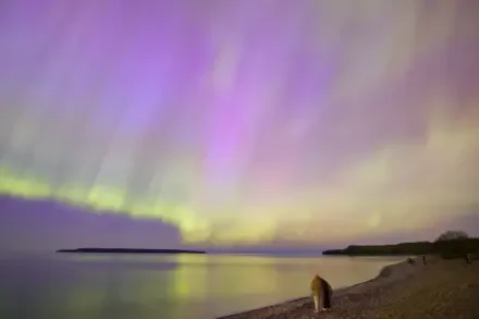 Northern Lights HD Desktop Wallpaper | Background Image