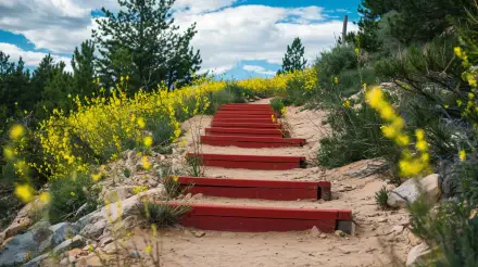 A vibrant hiking trail features charming red steps winding through sandy soil, framed by lush greenery and wildflowers, set against a backdrop of a clear blue sky. Ideal for a 4K Ultra HD desktop wallpaper.