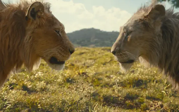 A stunning HD wallpaper featuring a face-off between two lions, highlighting the iconic characters from the movie Mufasa: The Lion King against a vibrant landscape.