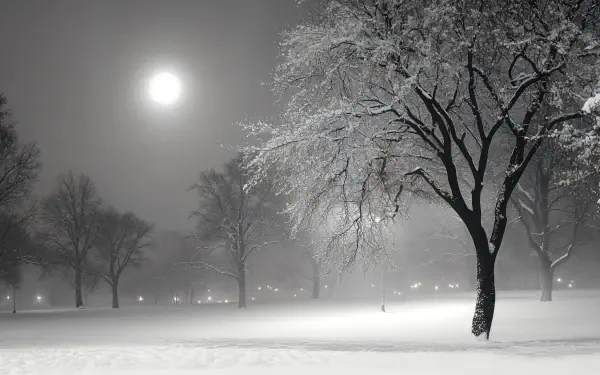 A serene winter night scene featuring a snow-covered landscape and silhouetted trees under a glowing moon, captured in stunning 4K Ultra HD for a captivating desktop wallpaper.