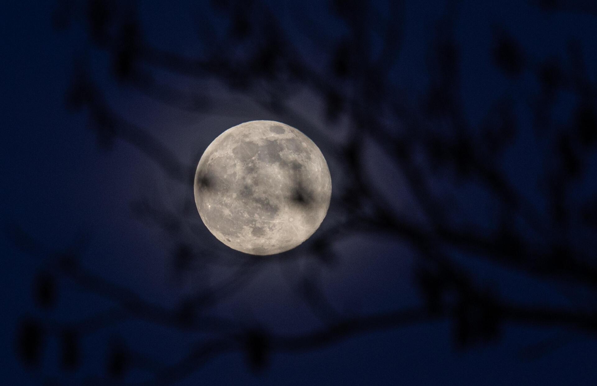 A stunning full moon shines brightly against a dark sky, partially obscured by tree branches, captured in 4K Ultra HD for a captivating desktop wallpaper background.