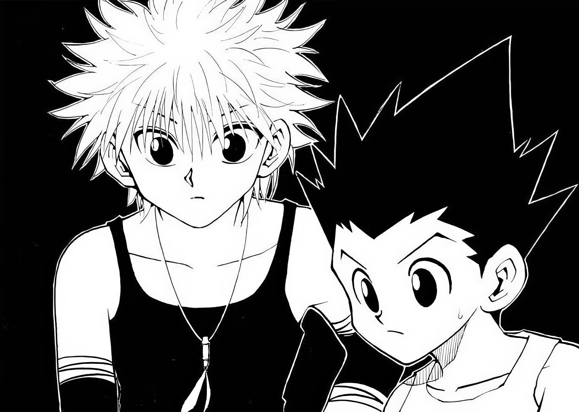 A black and white HD wallpaper featuring Gon Freecss and Killua Zoldyck from the manga Hunter x Hunter, showcasing their character design and camaraderie.