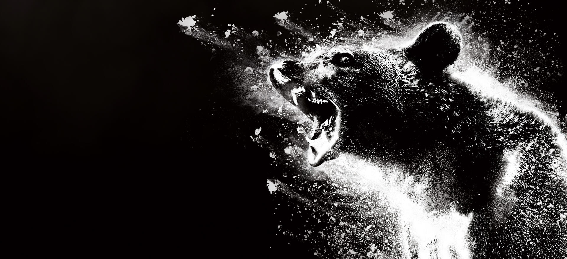 High-contrast black-and-white Cocaine Bear roaring amid powdery splatter, intense dynamic 4K Ultra HD PC desktop wallpaper/background.