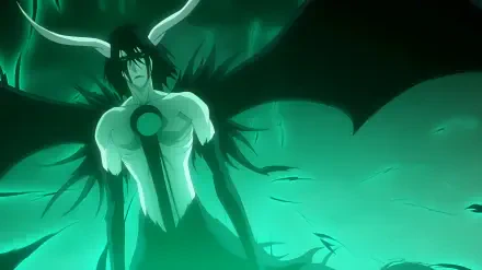  Ulquiorra Cifer 2nd form