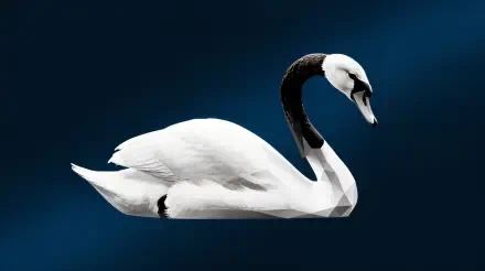 Trumpeter swan swan low poly sculpture bird HD Desktop Wallpaper | Background Image