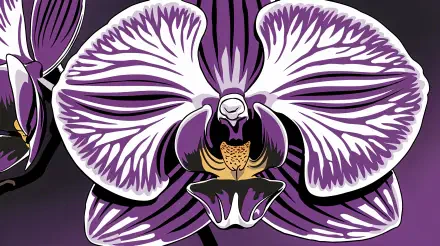 orchid purple flower botanical art nature floral design HD Desktop Wallpaper | Background Image