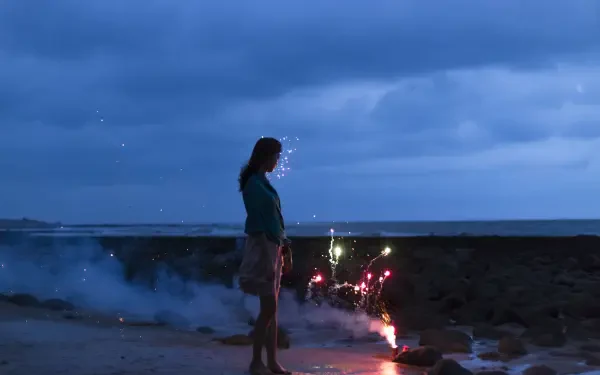 woman fireworks night beach HD Desktop Wallpaper | Background Image