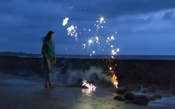 woman fireworks night beach HD Desktop Wallpaper | Background Image