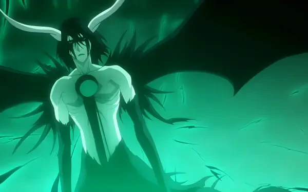  Ulquiorra Cifer 2nd form