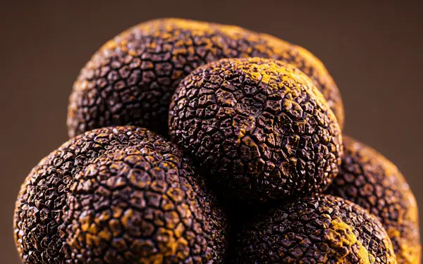 Close-up of textured black truffles, showcasing their unique surface details. This vibrant image serves as a rich 4K Ultra HD PC desktop wallpaper and background.