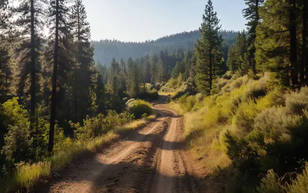 4K Ultra HD PC desktop wallpaper/background: sunlit OHV trail winding through pine forests and sagebrush across mountain foothills.
