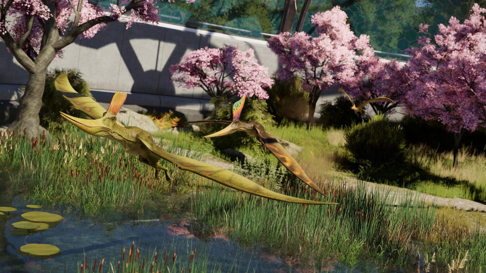 4K Ultra HD PC desktop wallpaper from the video game Jurassic World Evolution 3 showing pterosaurios swooping over a pond amid cherry blossoms and enclosure fencing.